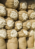 Wat maakt Egyptisch katoen bijzonder?