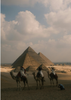 verschil egyptisch katoen
